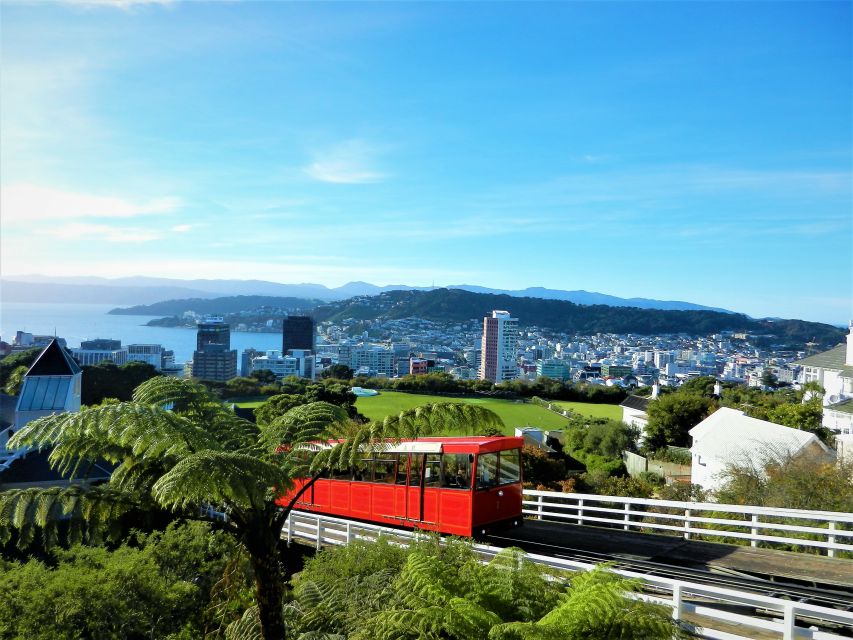Wellington: Return Cable Car Ticket - The return option: convenience or spare time?