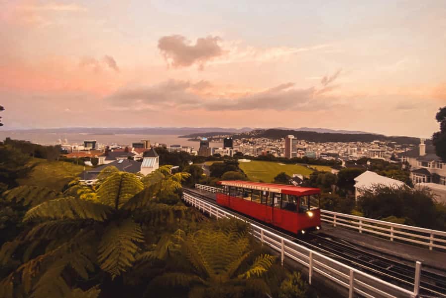 Wellington: Return Cable Car Ticket - Who will enjoy this most?