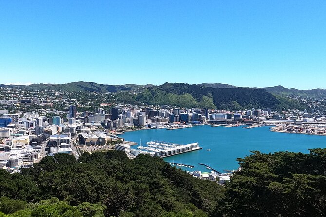 Wellington's Original HD LOTR Experience - includes Weta Tour - Is $108.60 good value?
