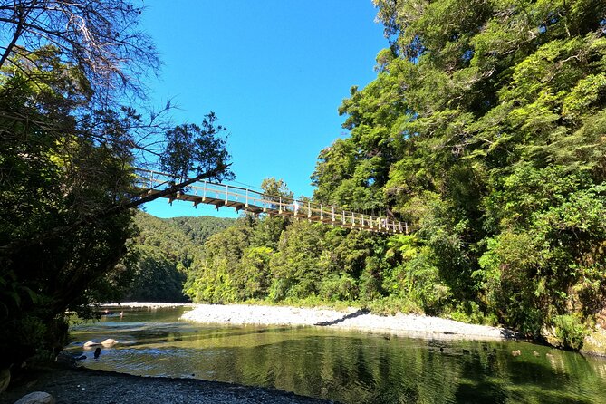 Wellington's Original LOTR Experience - includes Weta and Lunch - Harcourt Park as the Gardens of Isengard