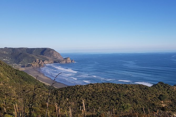 West Coast Discovery - Piha Beach or Muriwai Beach from Auckland - Why Auckland’s west coast is worth your half-day