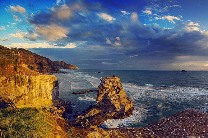 West Coast Discovery - Piha Beach or Muriwai Beach from Auckland - Muriwai Gannet Colony and the roaring coast