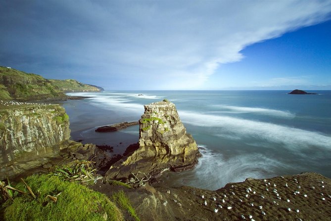 West Coast Discovery - Piha Beach or Muriwai Beach from Auckland - A guide-led outing with useful flexibility