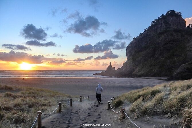 West Coast Discovery Piha Beach Private Tour - Why Auckland’s West Coast Makes a Good Day Out