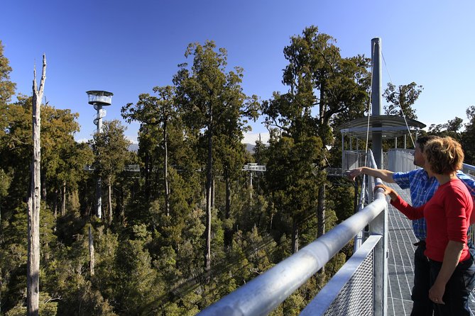 West Coast Treetop Walk - The 300-meter walk toward Lake Mahinapua