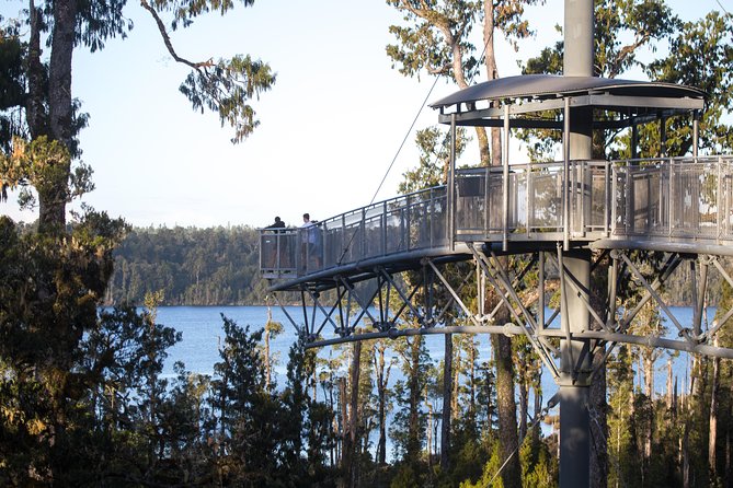 West Coast Treetop Walk - Finishing with coffee at the base café