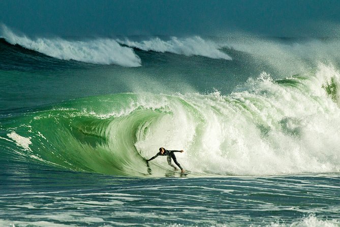 West Coast Wilderness Experience - Private Tour From Auckland - What the private format is really worth