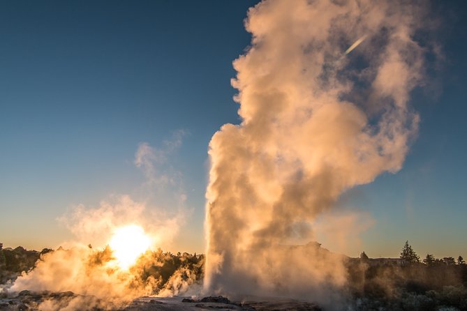 Whakarewarewa Village Guided Tour - Geothermal pools, mud, and Pohutu Geyser