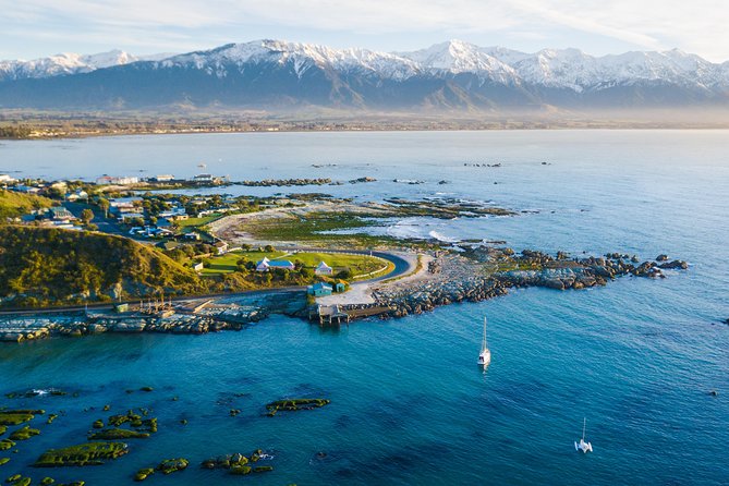 Whale Watching in Kaikoura by Boat - Choosing your departure time