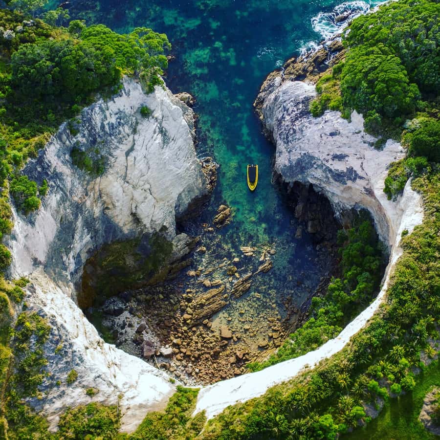 Whitianga: 2-Hour Cathedral Cove and Volcanic Coast Cruise - What makes this cruise worth your time