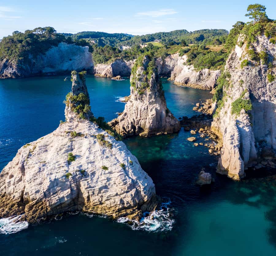 Whitianga: 2-Hour Cathedral Cove and Volcanic Coast Cruise - Lonely Bay, Cooks Beach, and Hahei