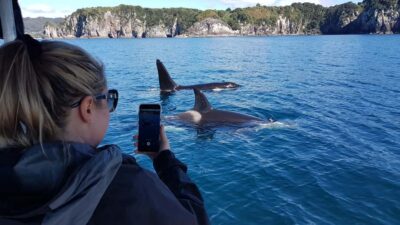 2-Hour Cathedral Cove and Volcanic Coast Cruise