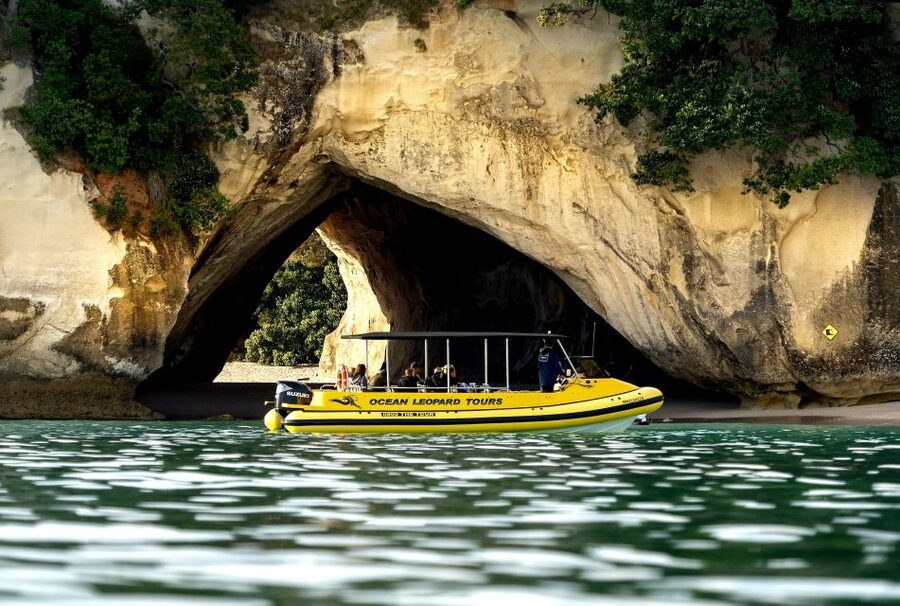 Whitianga: 2-Hour Cathedral Cove and Volcanic Coast Cruise - Cathedral Cove from the water