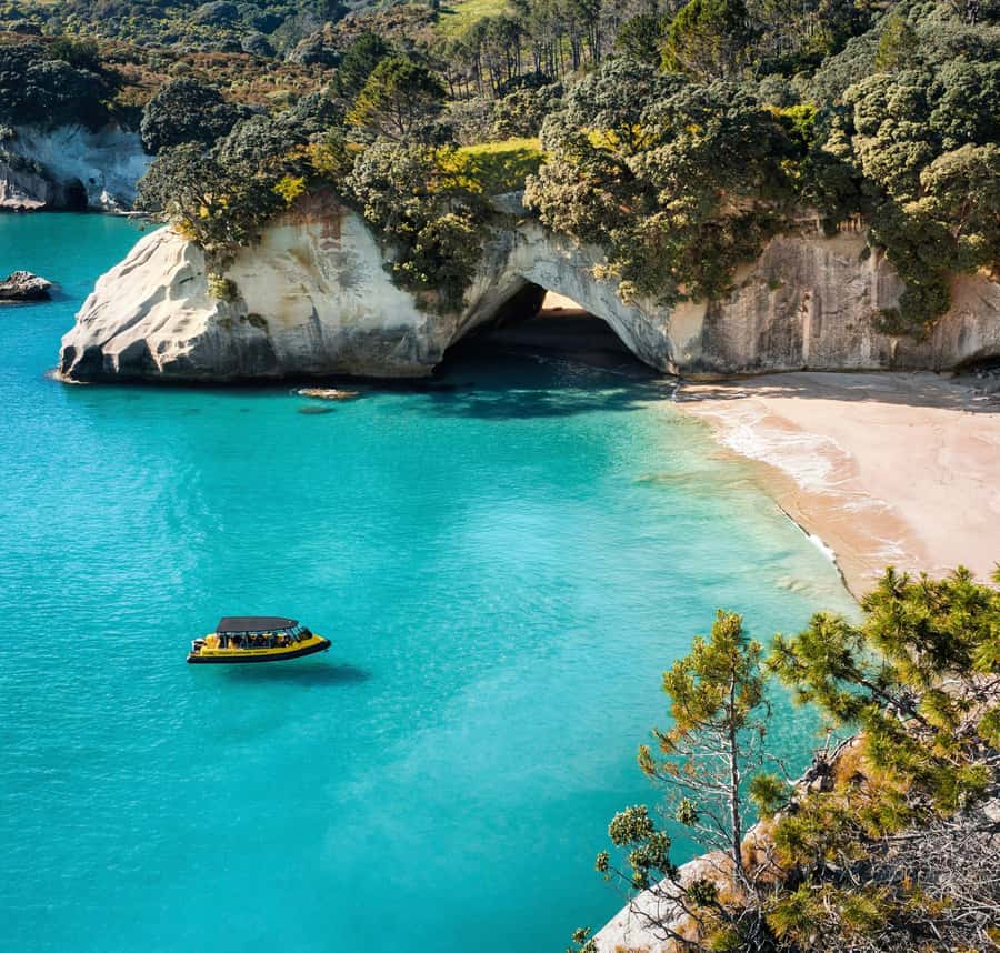 Whitianga: 2-Hour Cathedral Cove and Volcanic Coast Cruise - Wildlife: exciting, but never promised