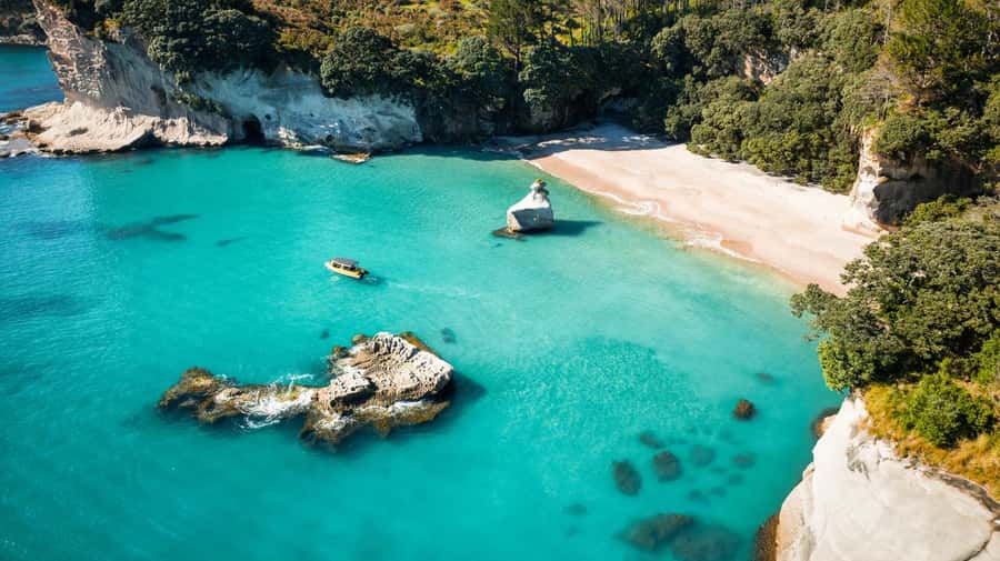 Whitianga: 2-Hour Cathedral Cove and Volcanic Coast Cruise - Guides Sam and Justin make the difference