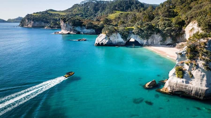 Whitianga: 2-Hour Cathedral Cove and Volcanic Coast Cruise - Comfort, timing, and weather