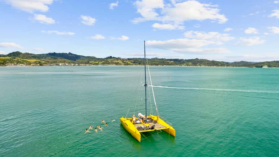 Whitianga: Sailing Trip to Cathedral Cove - Seeing Mercury Bay under sail