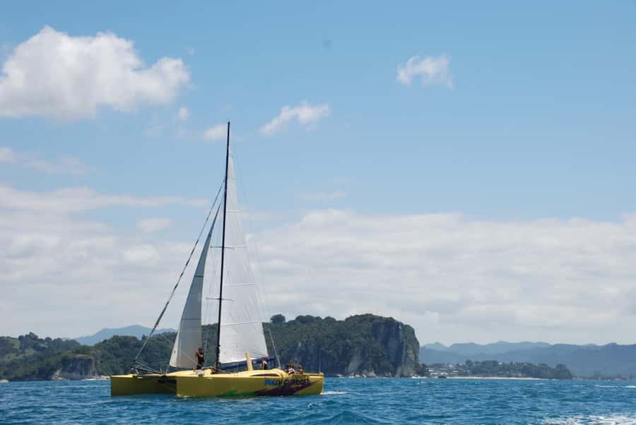 Whitianga: Sailing Trip to Cathedral Cove - Cathedral Cove from the water