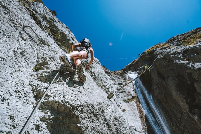 Wildwire Wanaka- Level 2 (4 Hours) - What the Level 2 climb is really like