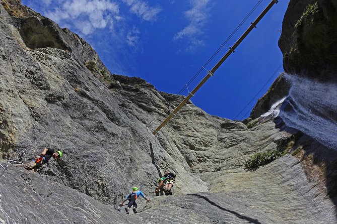 Wildwire Wanaka- Level 2 (4 Hours) - Steel ladders, bridges, and the first views