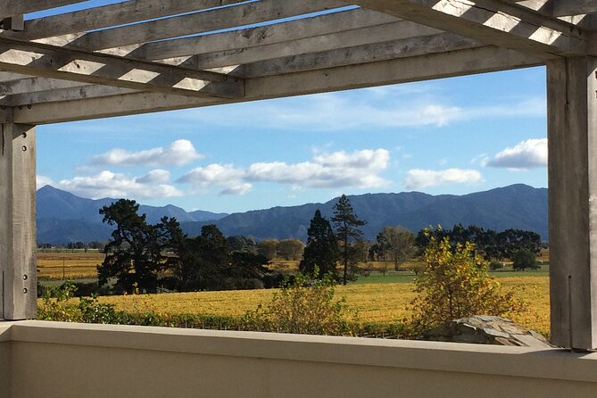 Wine and Gourmet Picnic Experience of Marlborough - Saint Clair offers the first serious wine stop