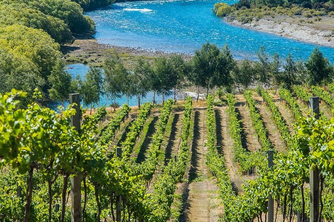 Wine Tour with Wine Tasting from Wanaka - What the $184.31 price includes