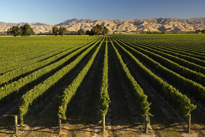Wine trail and Christchurch City - Luxury, Small Group Tour - Port Hills Views Over Harbour and Plains