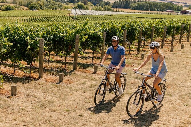 Wine trail and Christchurch City - Luxury, Small Group Tour - She Chocolate for a Sweet Finish