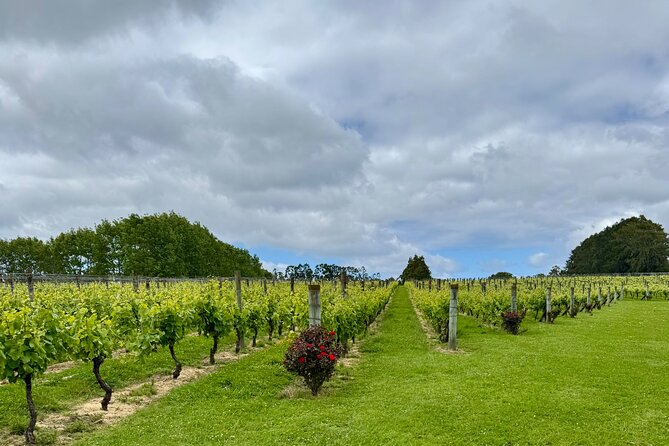 Wineries / Brewery - Hallertau Brewery: beer, food, and a change of pace