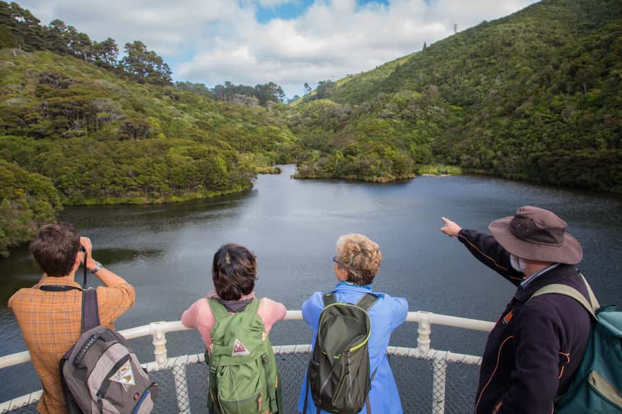 Zealandia by Day Tour - Key points to know before you book