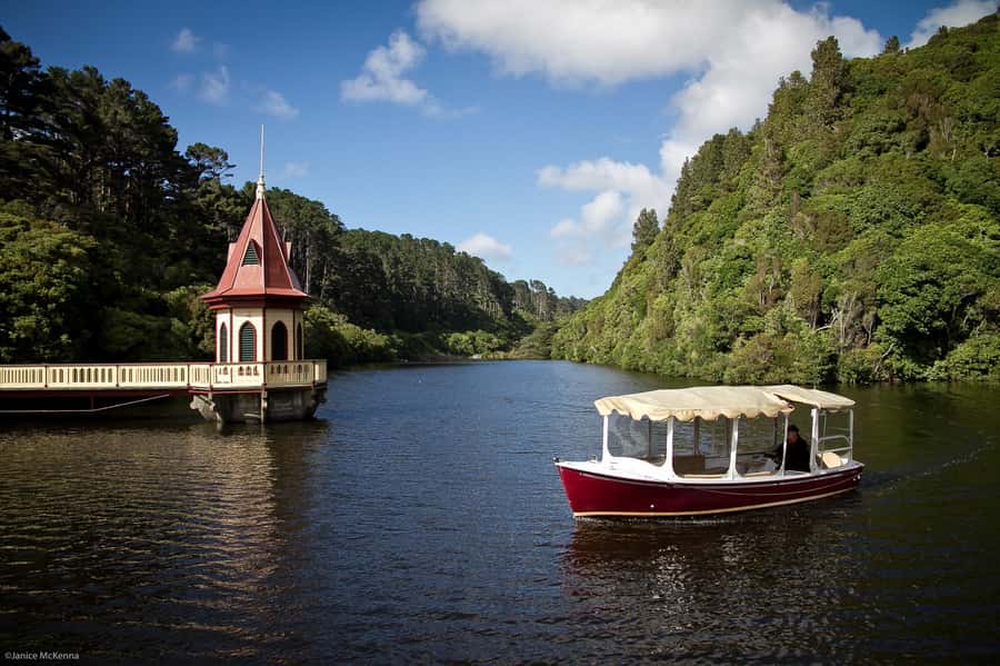 Zealandia by Day Tour - Learning the conservation story in two hours
