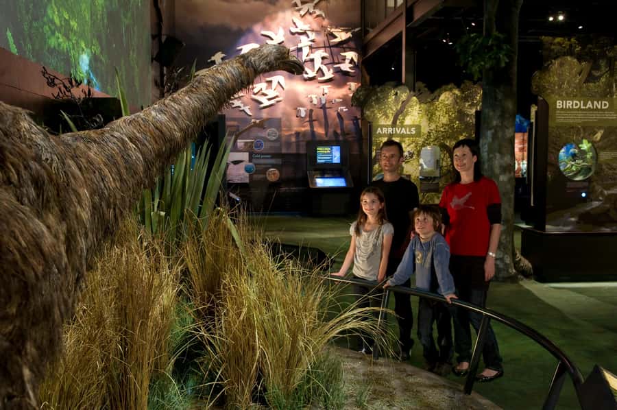Zealandia by Day Tour - Weather, paths, and the practical side of the walk