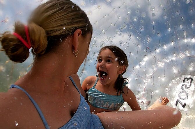 Zorb Inflatable Ball Ride from Mount Ngongotaha in New Zealand - Is $58.95 good value?